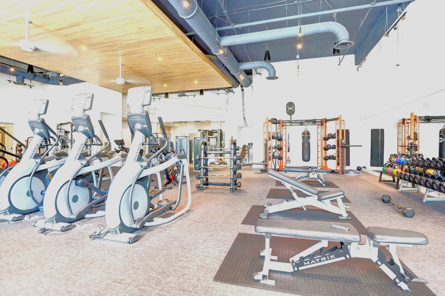Apartment Modern 1br Downtown Oasis W Balcony & Rooftop Pool